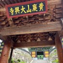 [청춘 템플스테이 5.24-25] 단양 미륵대흥사 휴식형 W.최고의 풍경, 절밥, 생명체(?)