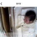 7층애약국 | 동탄제일프리미엄 조리원 후기 (13박 14일, 경산모)