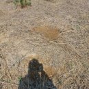 광천농장 2 이미지