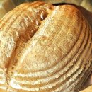 파파브런치 이미지