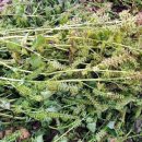 주경농장 이미지