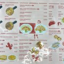 낙원타코안산중앙점 이미지