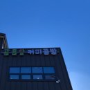 공룡알커피공방