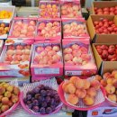 오부자청과 이미지