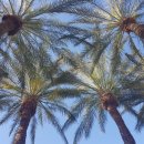 (주)이채팜 이미지