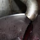 성도건강원 이미지