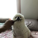 지니스안경 언양읍내중앙점 | 맞춤안경 언양지니스_울산울주 언양/지니스안경 울산언양읍내중앙점