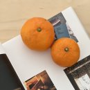 맥금동까페 이미지