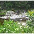 법수치통나무산장 이미지