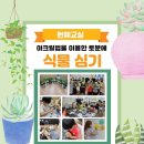 행복한꿈나무지역아동센터 이미지