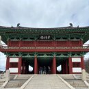 경주 여행 (1) - 월성, 석빙고, 월정교, 첨성대, 황리단길, 국립경주박물관