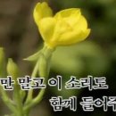 노래꽃피는마을 이미지