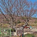 거문중초도분교장 이미지