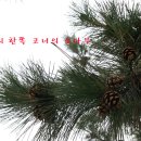 두밀촌 낚시터 이미지