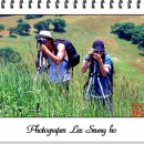 고기서 봐 이미지