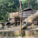 용인자연휴양림 숲속체험관 이미지