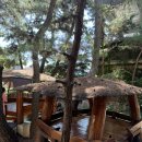 진부령 한증막 이미지