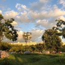 강남-119 이미지