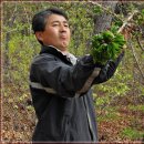 여름지기 - 봉화군 공세동길 86 | 여름지기