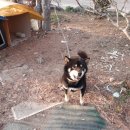 차희유통 이미지