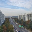 노블린카 이미지