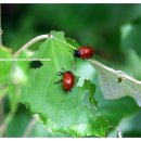 물소리펜션민박 이미지