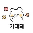 스카이 스포렉스(황성점) 이미지