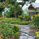 유룡농장 이미지