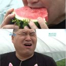 다루마 이미지
