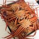 죽전길 | 죽전역 맛집 '대게집' 바이더수산에서 배달 포장까지