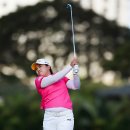 한국코와(주) 이미지