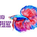배곧해솔초등학교 이미지