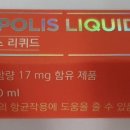그린스토아 이미지