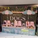 KINGs DOG | [🇦🇺시드니] 뉴타운 쇼핑 편집샵 &amp; 소품샵 추천 + 시드니 대학교