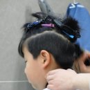머리 못하는 집 이미지