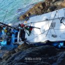 쑥섬(봉도) 거제뉴스아이
