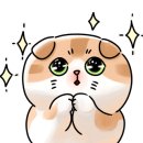 그린콕 이미지