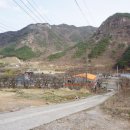 프라이빗핑크트리 이미지