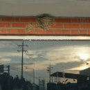 새둥지식당 이미지