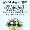 영화 '타이타닉의 주제가를 부른 가수 셀린 이미지