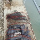 등대바다낚시터 이미지