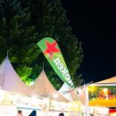 한빛투어 - 김포시 담터로 85-33 | 한빛투어