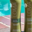 주식회사 로마 이미지