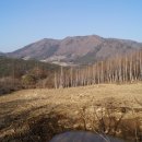 힐링농장 이미지