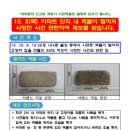 또래끼리 이미지