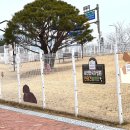 서문 | 광주 근교 아기랑 순천만 국가정원 후기 | 서문 vs 동문, 장단점 비교