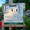 지오 파인트리 | 양양 지오 파인트리 숙소 오션동 이용후기