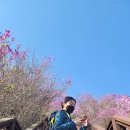 대금산진달래길(등산) 이미지