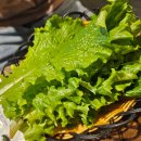 섬진강기차마을 시원한역 | 곡성 기차마을맛집 가족여행으로 가기 좋은 한식당 '메란명가&amp;한우곱창'(주차정보)