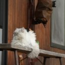 민박, 소소한 이미지